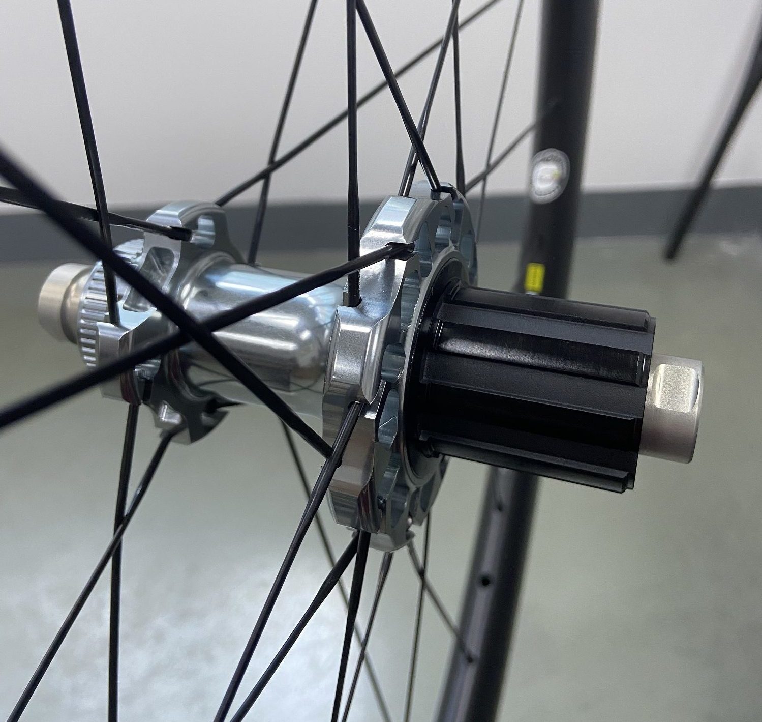 Carbon Spokes Built in Rear Hub at WB